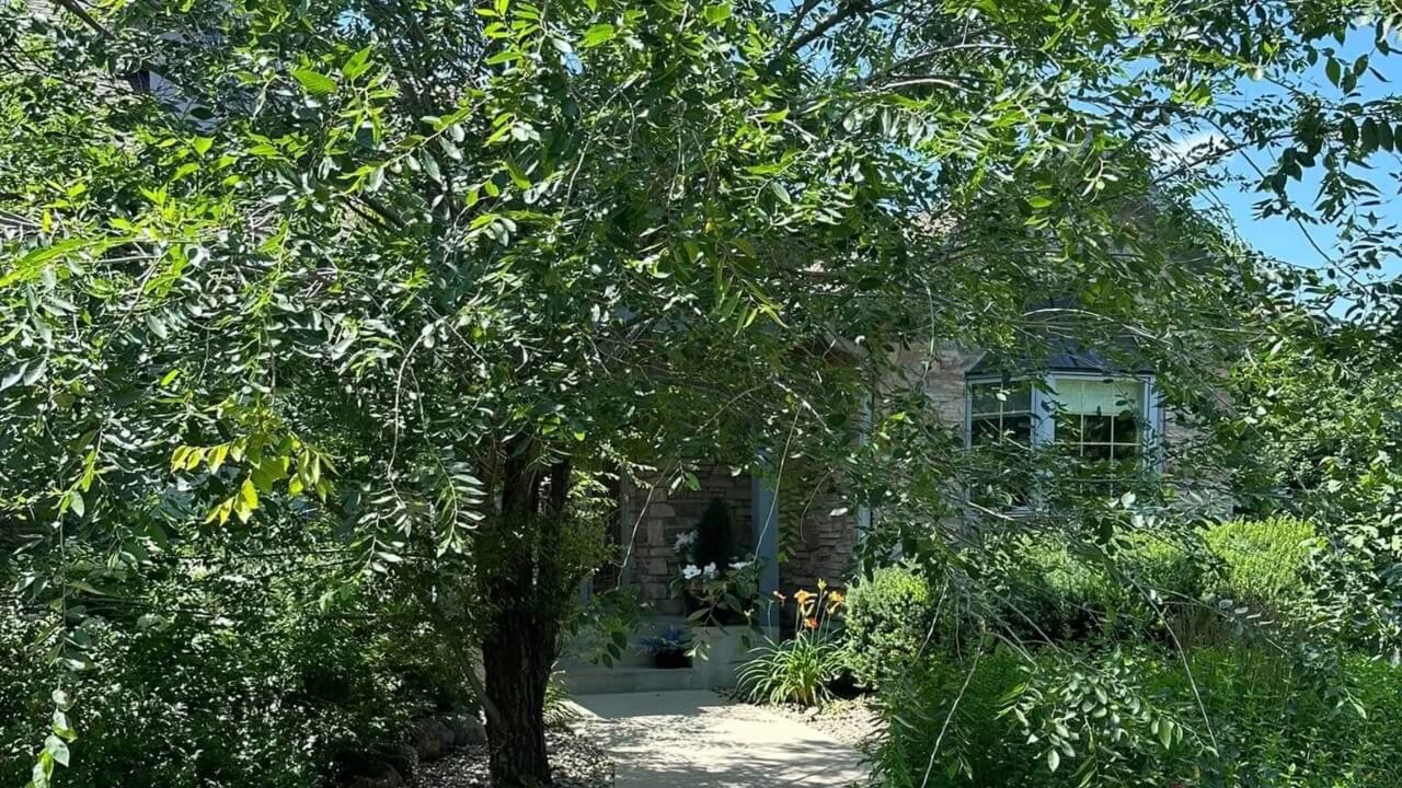 tree care service company