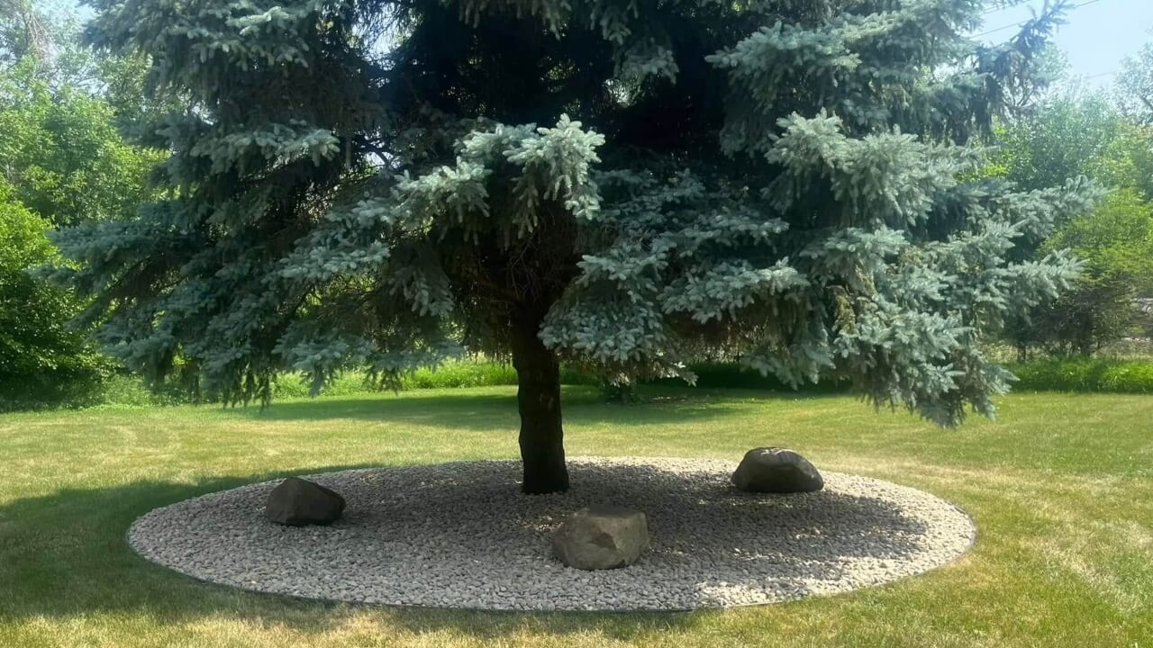 tree services near sioux falls